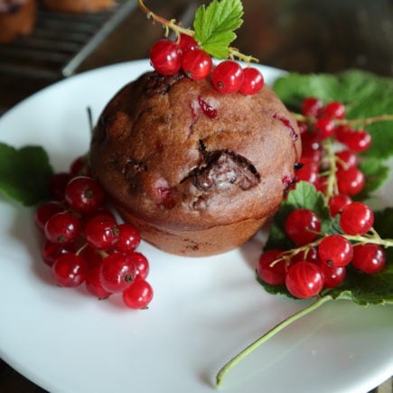 Schokoladenmuffins mit Johannisbeeren auf einem Dessertteller