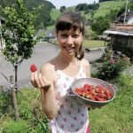 Einfaches Tiramisu mit Erdbeeren – vegan