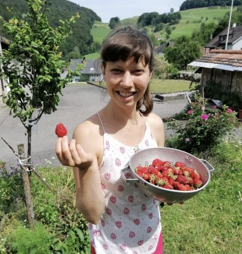 5 vegane Erdbeerrezepte ohne Haushaltszucker von Rahel Lutz vegane Foodbloggerin
