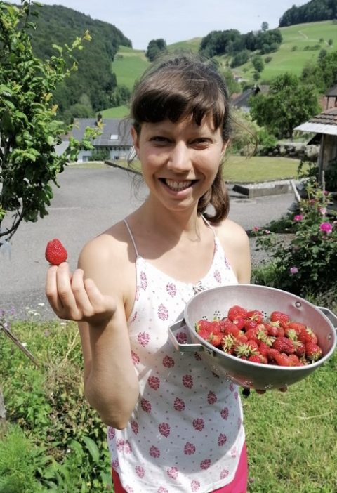 5 vegane Erdbeerrezepte ohne Haushaltszucker von Rahel Lutz vegane Foodbloggerin