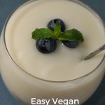 Easy vegan Lemon Pudding